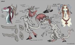 Reference Sheet