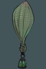 A simpler example of a balloon