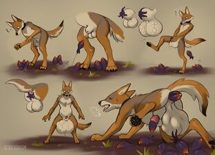 Tailpokes launch an attack on a hapless outsider's vulnerable holes¹