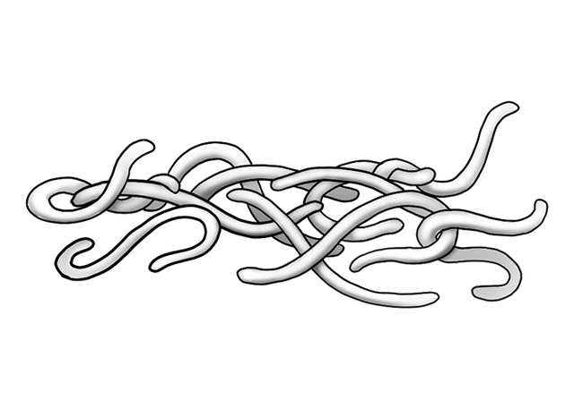 Tangleworm - Arcanet